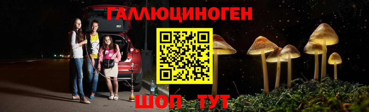 Звенигород  Галлюциногенные грибы Cubensis  Псилоцибиновые грибы Psilocybe  Вход с VPN 